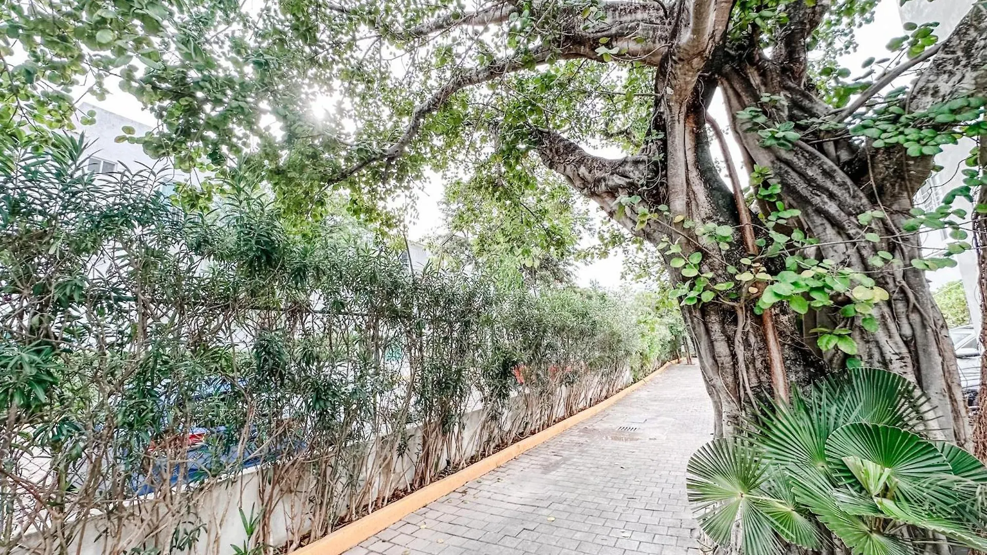 Azulb15 3 Bedroom Playacar Phase II Playa del Carmen 0*,